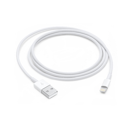 Picture of Apple USB Cable 1.0 Meters
