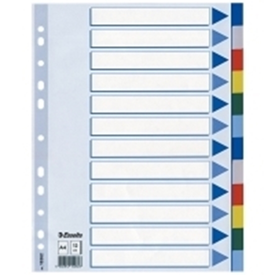 Picture of Esselte Divider 12 Tabs PLASTIC