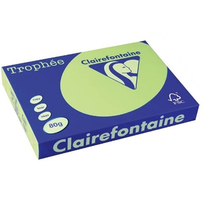 Picture of Trophee A4 Clairfontaine Jade 280gr