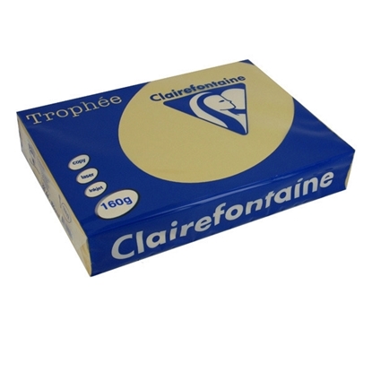 Picture of Trophee A4 Clairfontaine Caramel 160gr
