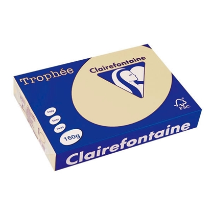 Picture of Trophee A4 Clairfontaine Chamois 160gr