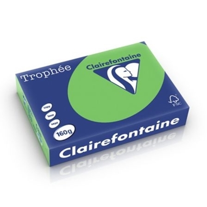 Picture of Trophee A4 Clairfontaine Green Menta 160gr