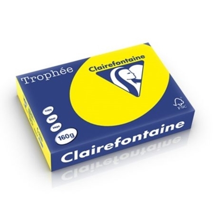 Picture of Trophee A4 Clairfontaine Salmon 120gr