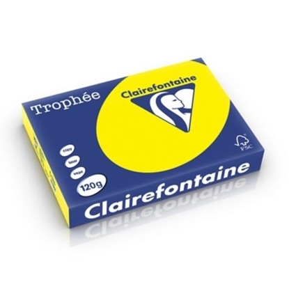 Picture of Trophee A4 Clairfontaine Yellow Dark 120gr