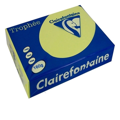 Picture of Trophee A4 Clairfontaine Yellow Mid 160gr