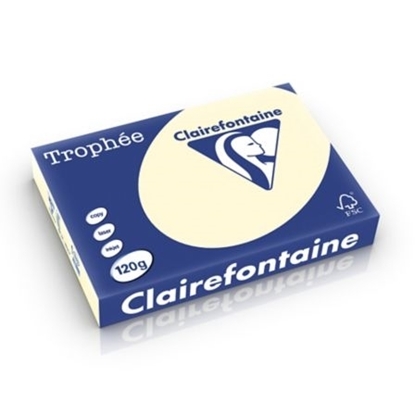 Picture of Trophee A4 Cream  120gr