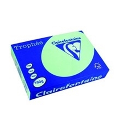 Picture of Trophee Cardboard A4 160g rGreen