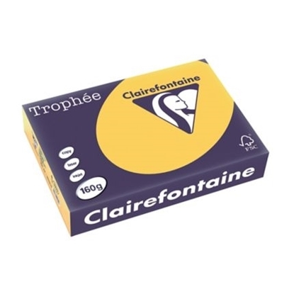 Picture of Trophee Clairfontaine A4 160gr Gold paper