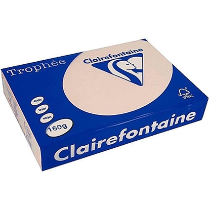 Picture of Trophee Clairfontaine A4 Salmon 160gr