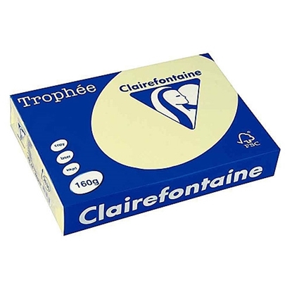 Picture of Trophy Claairfontaine A4 160gr Canari Laser/I