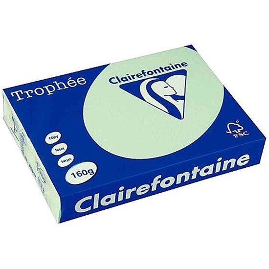 Picture of Trophy Claairfontaine A4 160gr Green