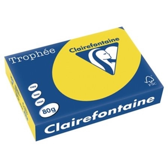 Picture of Trophee A4 80gr Clairfontaine Dark Yellow