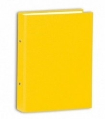 Picture of SKAG RING BINDER 2-20 A4-CLEAR