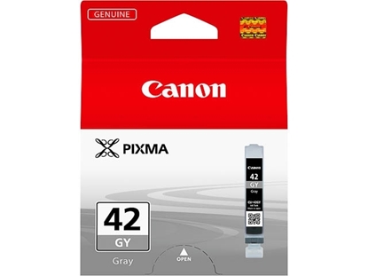 Picture of Canon #42 PIXMA PRO 100 Light Grey Ink
